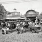 CONEY ISLAND BROOKLYN NEW YORK GOAT CARTS  PHOTO 1904 ZOO AMUSEMENT PARK