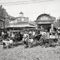 CONEY ISLAND BROOKLYN NEW YORK GOAT CARTS PHOTO 1904 ZOO AMUSEMENT PARK