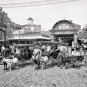 CONEY ISLAND BROOKLYN NEW YORK GOAT CARTS PHOTO 1904 ZOO AMUSEMENT PARK