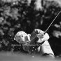 PGA Collectors Golf Pro Shop Wall Gift Photo Rare Arnold Palmer Masters Champion