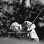 PGA Collectors Golf Pro Shop Wall Gift Photo Rare Arnold Palmer Masters Champion
