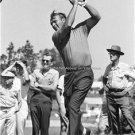 PGA Collectors Pro Shop Photo Young Arnold Palmer Golf Legend Masters Champion