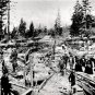 PHOTO CALIFORNIA GOLD RUSH MINING GOLD BULLION MINERS PANNING SILT PROSPECTING