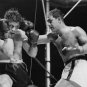 BOXING 1950 PHOTO ROLAND LA STARZA ROCKY MARCIANO WORLD HEAVYWEIGHT CHAMPION
