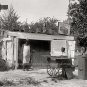 Vintage Saloon Former Black Slave colored philosopher African American Art Photo