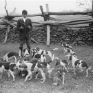NATIONAL BEAGLE CLUB PHOTO 1914 RABBIT HUNTING AMERICAN KENNEL CLUB DOG BREEDERS
