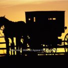 AMAZING AMISH HORSE CARRIAGE LANCASTER PENNSYLVANIA DUTCH MENNONITES ANABAPTIST