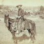 WESTERN COWBOY LARGE QUALITY PHOTO 1888 HORSE RIFLE PISTOL SADDLE CATTLE DRIVE