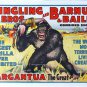 RINGLING BROTHERS AND BARNUM & BAILEY LARGEST GORILLA GARGANTUA POSTER PHOTO