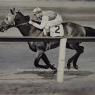 SEABISCUIT 1938 MOVIE GREAT DEPRESSION ERA RACEHORSE AMERICAN THOROUGHBRED PHOTO