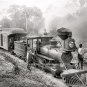 OLD FLORIDA RAILROAD PHOTO 1897 STEAM COAL TRAINS LOCOMOTIVES ENGINEER CONDUCTOR