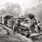 OLD FLORIDA RAILROAD PHOTO 1897 STEAM COAL TRAINS LOCOMOTIVES ENGINEER CONDUCTOR