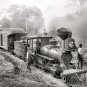 OLD FLORIDA RAILROAD PHOTO 1897 STEAM COAL TRAINS LOCOMOTIVES ENGINEER CONDUCTOR