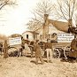 VINTAGE PHOTO 1864 DEEP SOUTH UNITED STATES PHOTOGRAPHER WAGONS POST CIVIL WAR