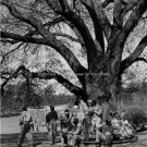 PGA TOUR PROFESSIONAL CADDIES 1962 MASTERS AUGUSTA PHOTO