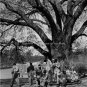 PGA TOUR PROFESSIONAL CADDIES 1962 MASTERS AUGUSTA PHOTO