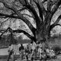PGA TOUR PROFESSIONAL CADDIES 1962 MASTERS AUGUSTA PHOTO