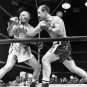 Rocky Marciano  Joe Walcott  Rare Boxing Photo 1952