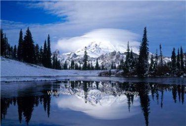 Mt. Rainier Washington Amazing Poster Photo 13 x 19