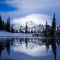 Mt. Rainier Washington Amazing Poster Photo 13 x 19
