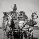 Antique Country Farming Equipment Work Horses Wooden Wagon Harvest Fields Photo