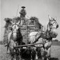 Antique Country Farming Equipment Work Horses Wooden Wagon Harvest Fields Photo