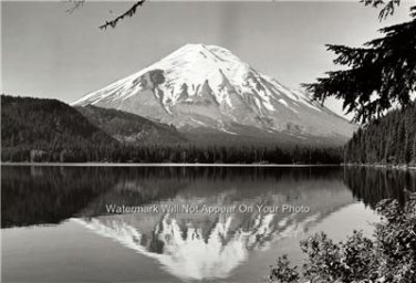 Mt St. Helens Beautiful  Amazing Poster Photo 13 x 19