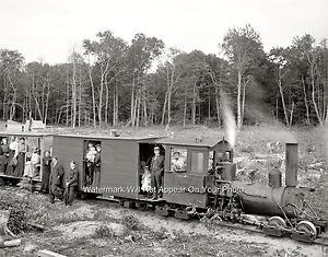 logger steam train