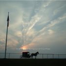 Amish Horse and Buggy Sunset Photo Special 11 x 14