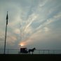 Amish Horse and Buggy Sunset Photo Special 11 x 14