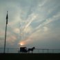 Amish Horse and Buggy Sunset Photo Special 11 x 14