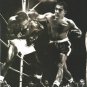 Rocky Marciano The Best Photo that I have 11 x 14