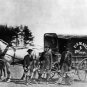 UNITED STATES POSTAL CARRIER PHOTO HORSE WAGON MAILMAN OFFICE MAIL BOX POSTMAN