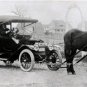 PHOTO HORSE CAR UNITED STATES MAIL CARRIER MAILMAN POST OFFICE MAIL BOX POSTMAN