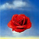 Salvador Dali Spanish Surrealist Eccentric Artist Wall Art Red Rose Clouds Photo