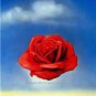 Salvador Dali Spanish Surrealist Eccentric Artist Wall Art Red Rose Clouds Photo