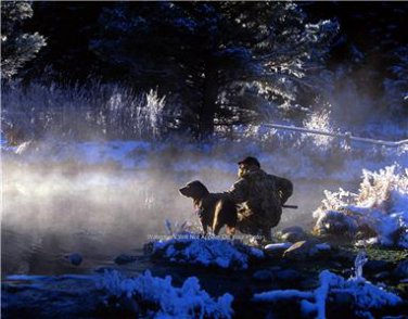 Duck Hunter Labrador Retriever Dog Snowly Scene Water Photo Shotgun Game Birds