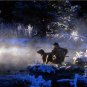 Duck Hunter Labrador Retriever Dog Snowly Scene Water Photo Shotgun Game Birds