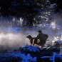 Duck Hunter Labrador Retriever Dog Snowly Scene Water Photo Shotgun Game Birds
