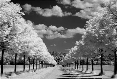 PERFECT COUNTRY SETTING TREES LONG DRIVEWAY FARMHOUSE BLACK & WHITE CLOUDS PHOTO
