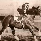 GREAT DEPRESSION ERA 1937 MOVIE SEABISCUIT RACEHORSE AMERICAN THOROUGHBRED PHOTO