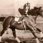GREAT DEPRESSION ERA 1937 MOVIE SEABISCUIT RACEHORSE AMERICAN THOROUGHBRED PHOTO