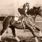 GREAT DEPRESSION ERA 1937 MOVIE SEABISCUIT RACEHORSE AMERICAN THOROUGHBRED PHOTO