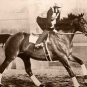 GREAT DEPRESSION ERA 1937 MOVIE SEABISCUIT RACEHORSE AMERICAN THOROUGHBRED PHOTO