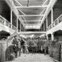 EARLY AMERICANA KENTUCKY TOBACCO WAREHOUSE BUYERS MARKET PHOTO CIGARS LEAF 1906