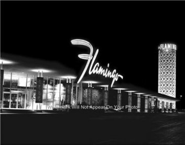 Flamingo Casino Bugsy Siegel Mobsters Las Vegas Gambling Fremont Street Photo
