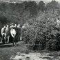 Babe Zaharias Action shot golf photo Over tree Awesome