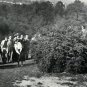 Babe Zaharias Action shot golf photo Over tree Awesome