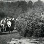 Babe Zaharias Action shot golf photo Over tree Awesome