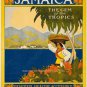 JAMAICA TROPICS STEAMSHIP CRUISE ART WORK POSTER COLOR PHOTO 13 X 16 BOB MARLEY